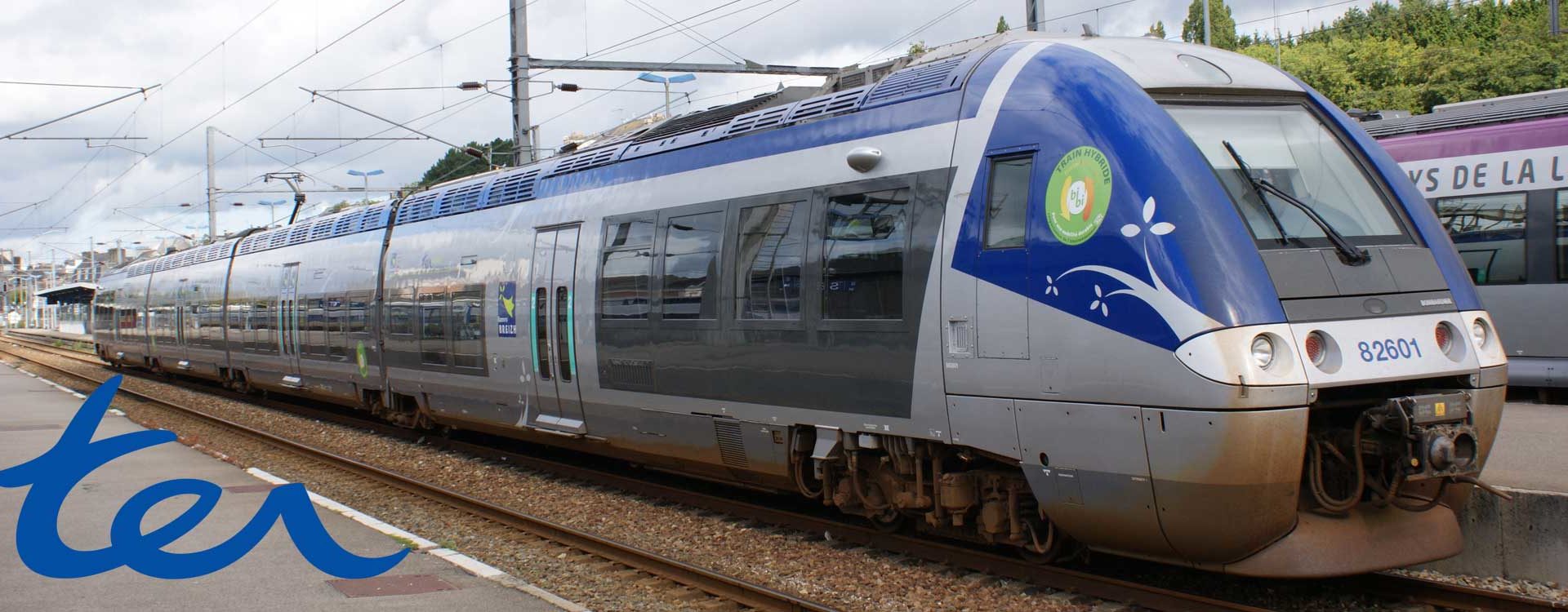 ter-liberte-tarifaire